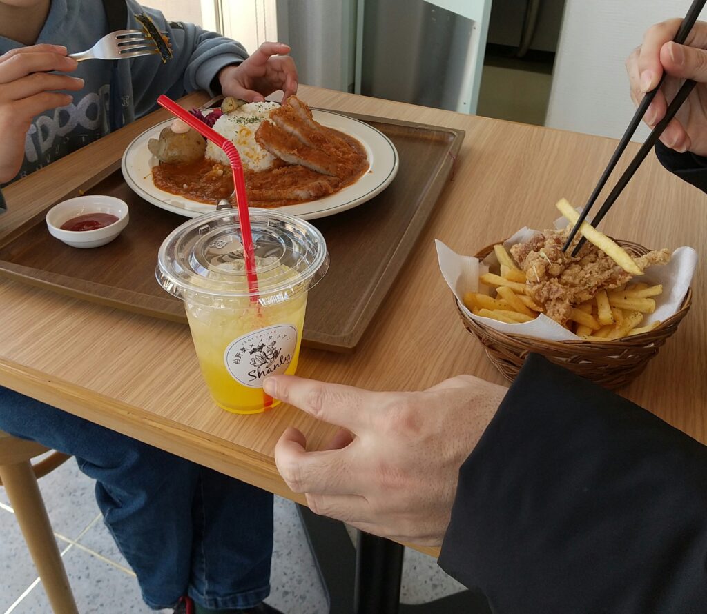 道の駅しょうなんランチ