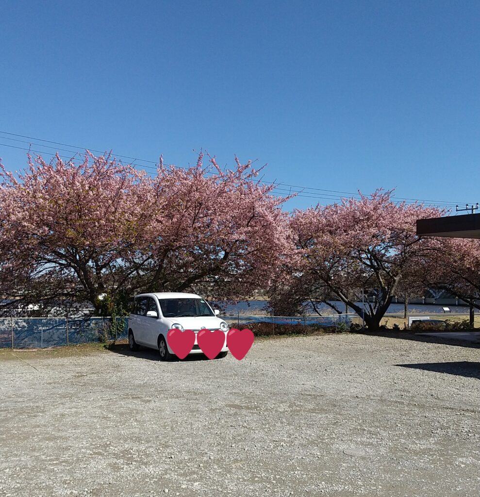 道の駅しょうなん野菜レストラン